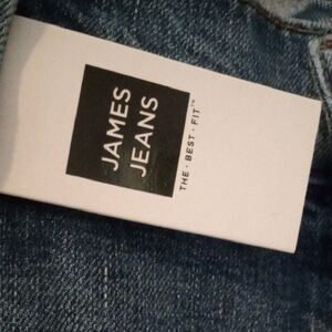 James Jeans Women's Twiggy Ankle Size 31, Classic Blue Jeans